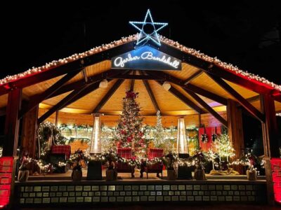 262465321_442855870643243_3603856102373043520_n